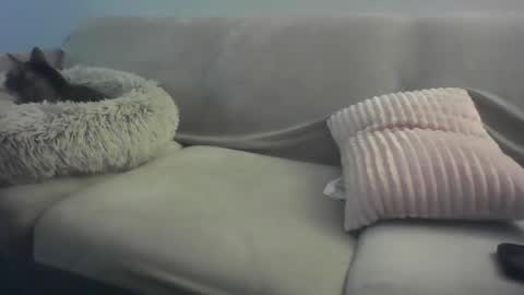 Lady Sif online show from 02/16/26, 02:29