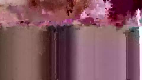 sigmaelixer online show from 05/17/26, 06:37