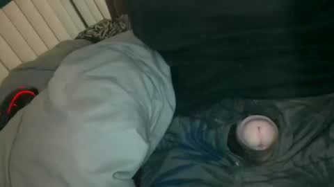 Snapshot of silentstiffler chatting on 11/30/25, 04:27 silentstiffler online show from 11/30/25, 04:27