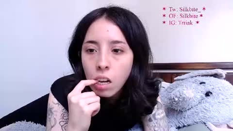 silkbite online show from 08/01/26, 08:30