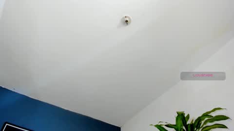 silvabranko online show from 10/26/25, 10:04