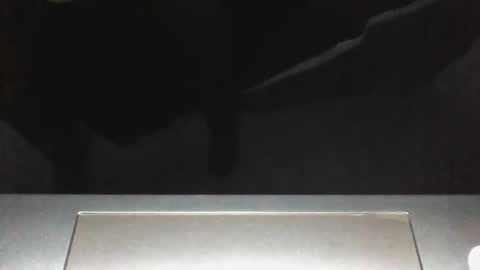 Silverhawk06 online show from 12/23/25, 02:20