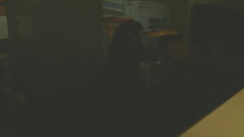 silvin76 online show from 01/06/25, 05:08