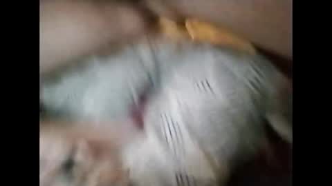 Snapshot of sinbook611 chatting on 10/23/25, 10:58 sinbook611 online show from 10/23/25, 10:58