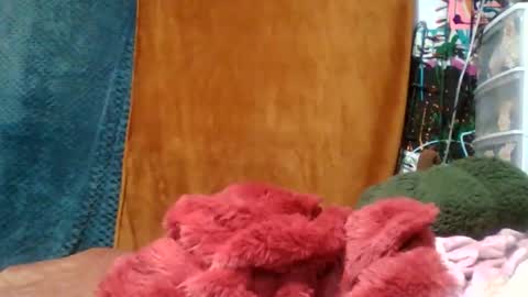 Snapshot of siofra chatting on 11/16/25, 04:51 Siofra online show from 11/16/25, 04:51