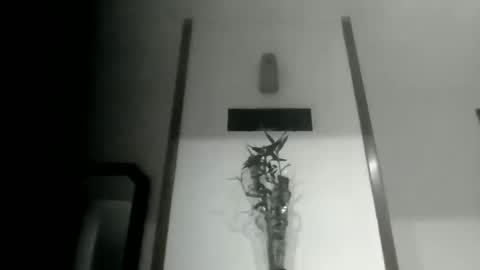 sioque376201 online show from 03/10/26, 11:43