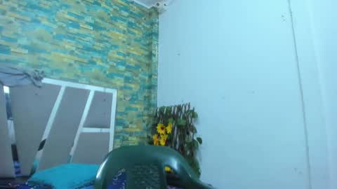 Snapshot of sirryant chatting on 01/22/25, 01:10 SIR RYANT online show from 01/22/25, 01:10