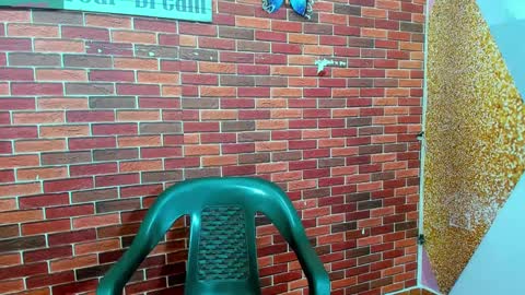 Snapshot of sirryant chatting on 02/27/25, 12:34 SIR RYANT online show from 02/27/25, 12:34