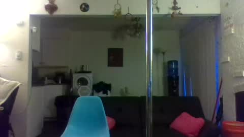 Snapshot of sissyboo99 chatting on 07/21/26, 03:53 ShyGamerGurl online show from 07/21/26, 03:53