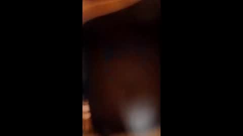 sissybottomcock online show from 12/04/25, 06:55