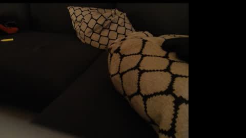 Snapshot of sissygirlalexandra chatting on 01/26/25, 01:31 sissygirlalexandra online show from 01/26/25, 01:31