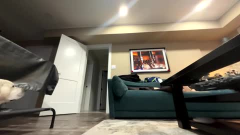 Snapshot of sissyinheelsbbc chatting on 11/09/25, 02:21 sissyinheelsbbc online show from 11/09/25, 02:21