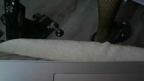 Snapshot of sissymia1234 chatting on 12/17/25, 03:23 sissymia1234 online show from 12/17/25, 03:23