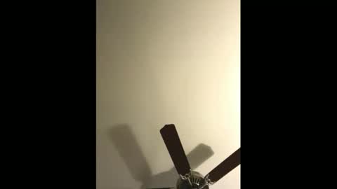 Snapshot of sissynovaholes chatting on 01/04/25, 02:56 sissynovaholes online show from 01/04/25, 02:56