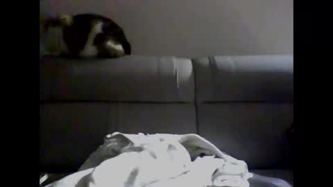 Snapshot of skater19xxx chatting on 12/02/24, 04:09 miguel online show from 12/02/24, 04:09