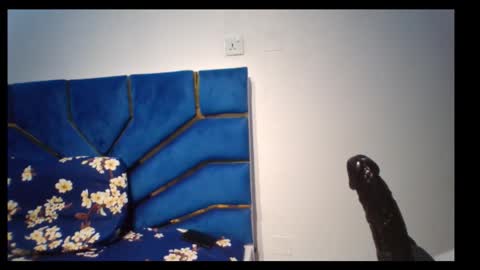 Snapshot of skinnyasssexyboobs chatting on 11/05/25, 04:29 skinnyasssexyboobs online show from 11/05/25, 04:29