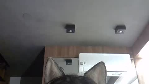 skinnykittencam online show from 11/05/25, 03:17