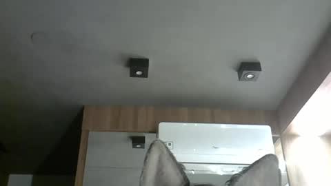 skinnykittencam online show from 11/06/25, 04:13