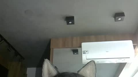 skinnykittencam online show from 11/06/25, 06:31