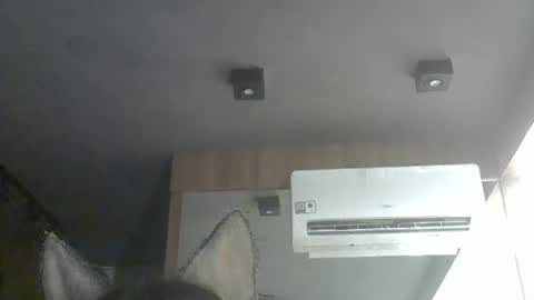 skinnykittencam online show from 11/15/25, 07:21