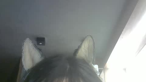 Snapshot of skinnykittencam chatting on 02/26/26, 10:25 skinnykittencam online show from 02/26/26, 10:25