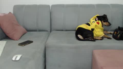 skinnylatin69 online show from 02/08/25, 02:26