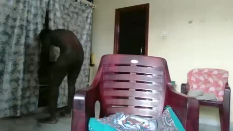 Indianslut1431 online show from 04/09/26, 07:03