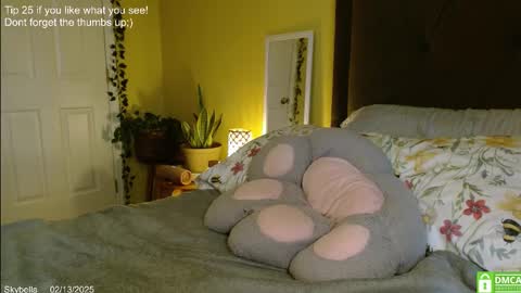 Snapshot of skybella_ chatting on 02/13/25, 04:28 Skylar online show from 02/13/25, 04:28
