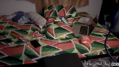 Snapshot of skye16484 chatting on 12/12/24, 02:00 Skye and Ace online show from 12/12/24, 02:00