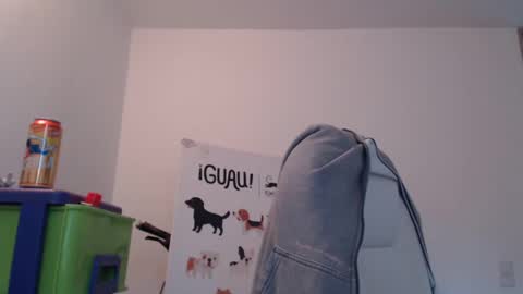 Snapshot of skyler1195 chatting on 02/17/25, 09:08 Skyler online show from 02/17/25, 09:08