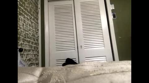 Slangindopee online show from 01/22/25, 11:56