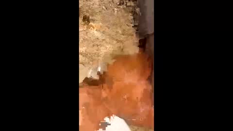 slapaho666 online show from 10/03/25, 03:03