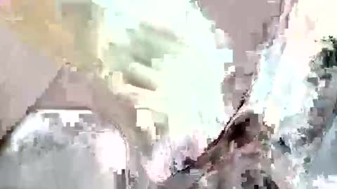 Z online show from 11/12/25, 08:52