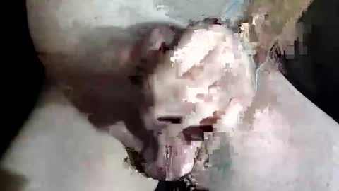 Z online show from 12/02/25, 08:48