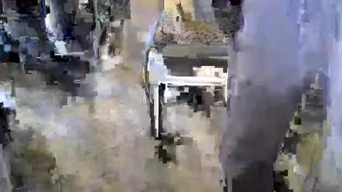 sledge2021 online show from 11/17/25, 08:14