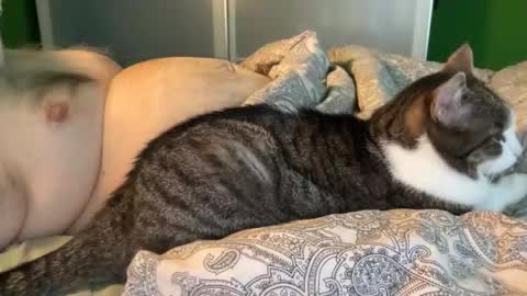 slice5 online show from 04/30/26, 05:25