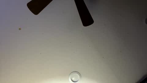 Snapshot of slickdog1969 chatting on 01/30/25, 06:03 Slickdog online show from 01/30/25, 06:03