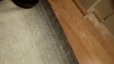 Snapshot of slickdog58 chatting on 09/19/25, 07:47 slickdog58 online show from 09/19/25, 07:47