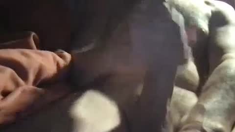 Snapshot of slienthear83 chatting on 01/14/25, 06:34 slienthear83 online show from 01/14/25, 06:34