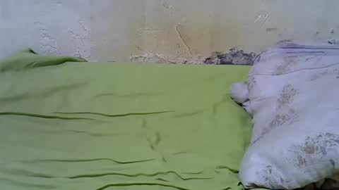 slim_girl3 online show from 03/19/26, 08:13