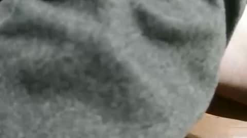 Snapshot of slimsunny chatting on 12/04/24, 05:49 slimsunny online show from 12/04/24, 05:49