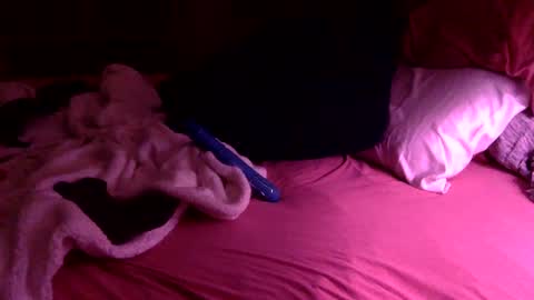 Snapshot of slip_inside_wet_orchid chatting on 01/30/25, 02:27 Slip Inside Wet Orchid online show from 01/30/25, 02:27