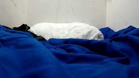 Snapshot of sluggycok chatting on 11/04/25, 03:38 sluggycok online show from 11/04/25, 03:38