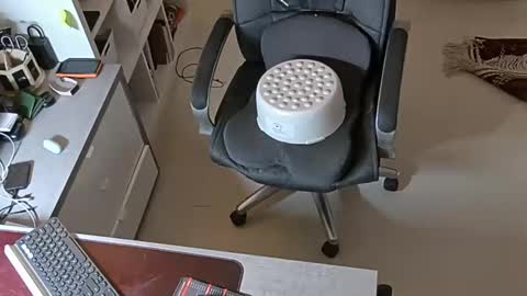 sluttygina1 online show from 01/28/25, 02:53