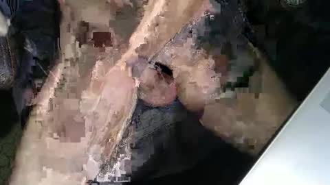 Snapshot of slyfast1 chatting on 12/18/25, 05:02 slyfast1 online show from 12/18/25, 05:02