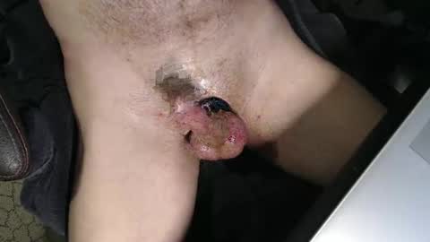 slyfast1 online show from 04/03/26, 04:43