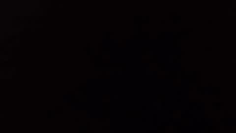 transmisin gratuita bajo demanda  free broadcast on demand online show from 04/02/26, 11:13