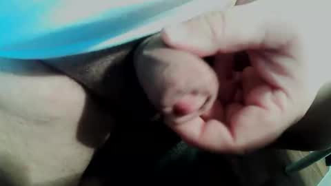 Small Pekka online show from 02/11/26, 03:50