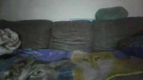 Snapshot of smaug6606 chatting on 11/24/25, 06:46 smaug6606 online show from 11/24/25, 06:46