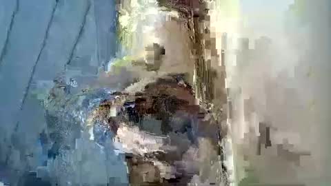 Snapshot of smiley_berry chatting on 09/30/25, 07:30 smiley_berry online show from 09/30/25, 07:30